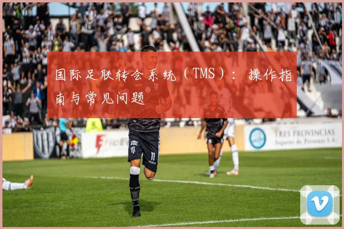 国际足联转会系统（TMS）：操作指南与常见问题