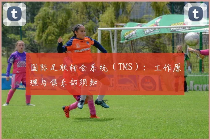 国际足联转会系统(TMS):工作原理与俱乐部须知
