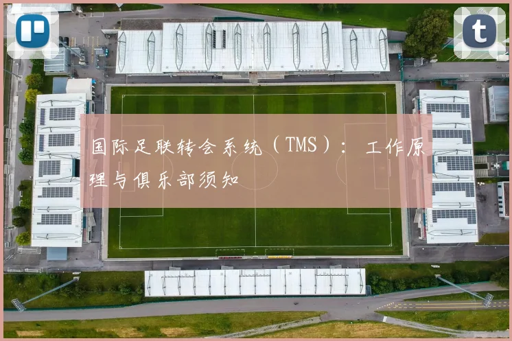 国际足联转会系统(TMS):工作原理与俱乐部须知