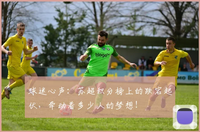 球迷心声:苏超积分榜上的跌宕起伏,牵动着多少人的梦想!