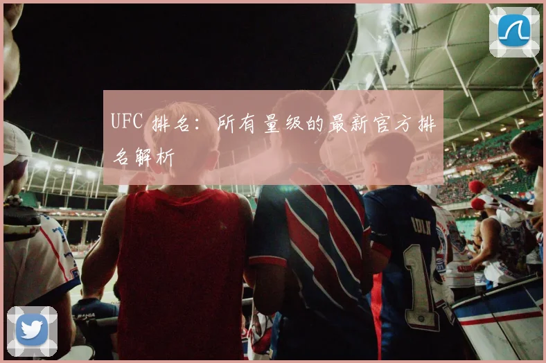 UFC 排名：所有量级的最新官方排名解析