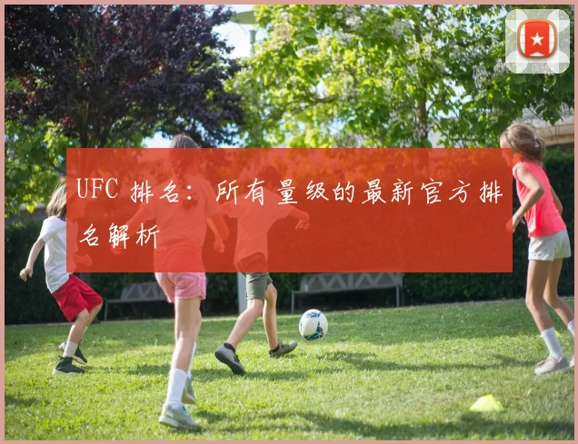 UFC 排名:所有量级的最新官方排名解析